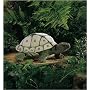 Folkmanis Tortoise Hand Puppet