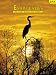 Books : Everglades: The Story Behind the Scenery