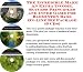 Book The Fantastic How To Earn Extra Money, Marketing and Success Principles for Badminton Bags On-line Businesses 3 CD Pack