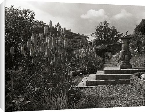 Canvas Prints of Castle Coole from Country Life Canvas Prints of Castle Coole from Country Life