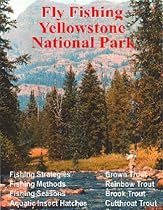 Fly Fishing Yellowstone National Park