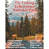 Fly Fishing Yellowstone National Park