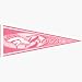 4 Denver Broncos Pink NFL Wholesale Team Pennants