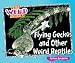 Flying Geckos and Other Weird Reptiles (I Like Weird Animals!)