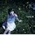 �u(���񐶎Y�����)(DVD�t)