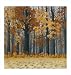 Autumn Wood by Timothy Arzt poster print,34 in. x 36 in.