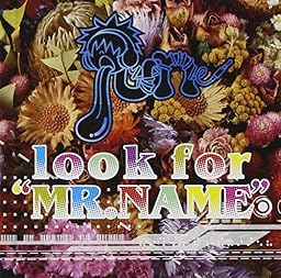 look for”MR.NAME”BLUE-TYPE(DVD付)