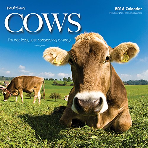2016 Cows Wall Calendar