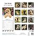 Cairn Terrier Calendar - Breed Specific Cairn Terrier Calendar - 2015 Wall calendars - Dog Calendars - Monthly Wall Calendar by Avonside