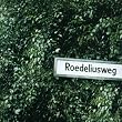 Roedeliusweg