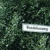 Rodeliusweg
