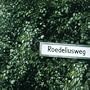 Rodeliusweg