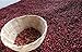 Mexican El Mezcal Micro Lot Coffee Beans (Medium Roast (Full City +), 5 pounds Whole Beans)