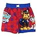 Paw Patrol Boys Swim Trunks Swimwear