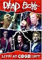 DEAD BOYS - Live at CBGB's 1977
