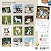 Siberian Husky Puppies 18-Month 2015 Calendar