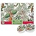 Michel Design Works 25 Count Spruce Paper Placemats, Green