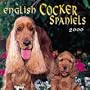 English Cocker Spaniels 2000 Calendar