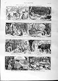 1876 Hunting Bison Tiffin Choix Jungle Big Game Beaters