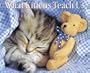 What Kittens Teach Us Calendar