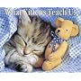 What Kittens Teach Us 2009 Calendar
