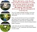 The Special How To Earn Extra Money, Marketing and Inner Game for Bubble Mailers Businesses 3 CD Power Pack