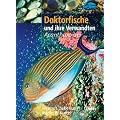 Doktorfische und ihre Verwandten. - Acanthuroidei
