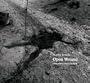 Open Wound: Chechnya 1994-2003