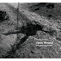 Open Wound: Chechnya 1994-2003