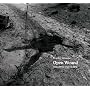 Open Wound: Chechnya 1994-2003