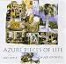 Search : Azure Pieces of Life