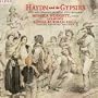 Haydn and the Gypsies: Solo and Chamber Music in Style Hongrois
