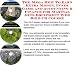 Search : The Mega How To Earn Extra Money, Inner Game and Accounting & Finance for Martial Arts Equipment Web Biz 3 CD Course
