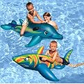 Dolphin Super Jumbo Rider