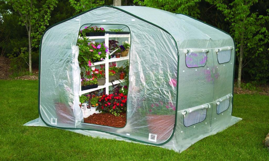 Amazon.com : Flower House FHDH500 DreamHouse Walk-In Greenhouse ... Amazon.com : Flower House FHDH500 DreamHouse Walk-In Greenhouse ...