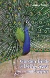 Cover of Garden Birds of Delhi, Agra and Jaipur by Samar Singh 8183280765