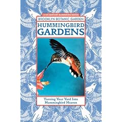 Hummingbird Gardens: Turning Your Yard into Hummingbird Heaven