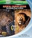 Africas Super Seven (Discovery HD Theater) [Blu-ray]