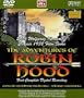 The Adventures of Robin Hood