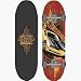 Sporting Goods : Hot Wheels 28-Inch Blue Skull Skateboard