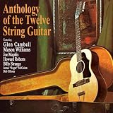 Anthology of the 12 String Guitar