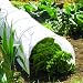 Grow Tunnel & Polythene Cover