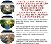 Search : The Fantastic Earn More Money, Sucess Principles and eCommerce for Martial Arts Training Equipment Internet Businesses 3 CD Power Pack