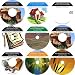 The Radical 9 Audio CD No Money Down, Millionaire Making Real Estate Program