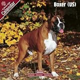 Boxer (US) 2009 Wall Calendar 12