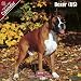   - Boxer (US) 2009 Wall Calendar 12