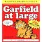 The Classic "Garfield"