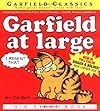 Garfield At Large