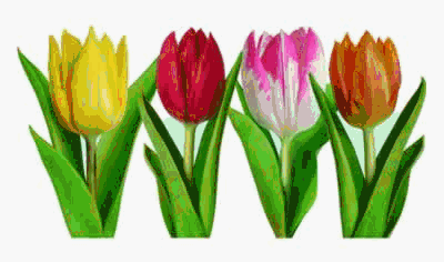 Beistle - 50238 - Pkgd Tulip Cutouts- Pack of 12 Beistle - 50238 - Pkgd Tulip Cutouts- Pack of 12