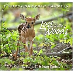 Lost In The Woods: A Photographic Fantasy